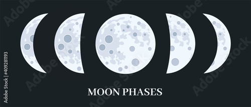 vector set of moon phases