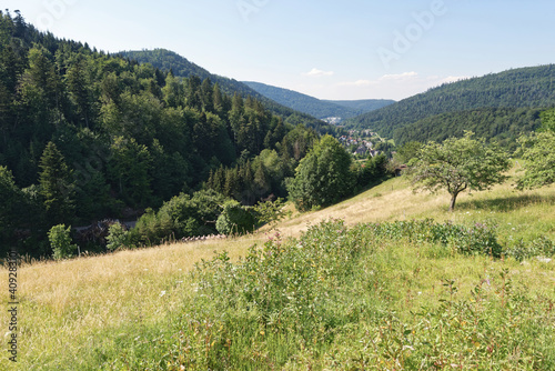 Baden-Württemberg - Bad Herrenalb - Umgebung photo