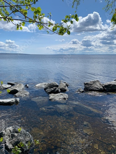 Beautiful view of river in sunny day. Rest in nature. 
