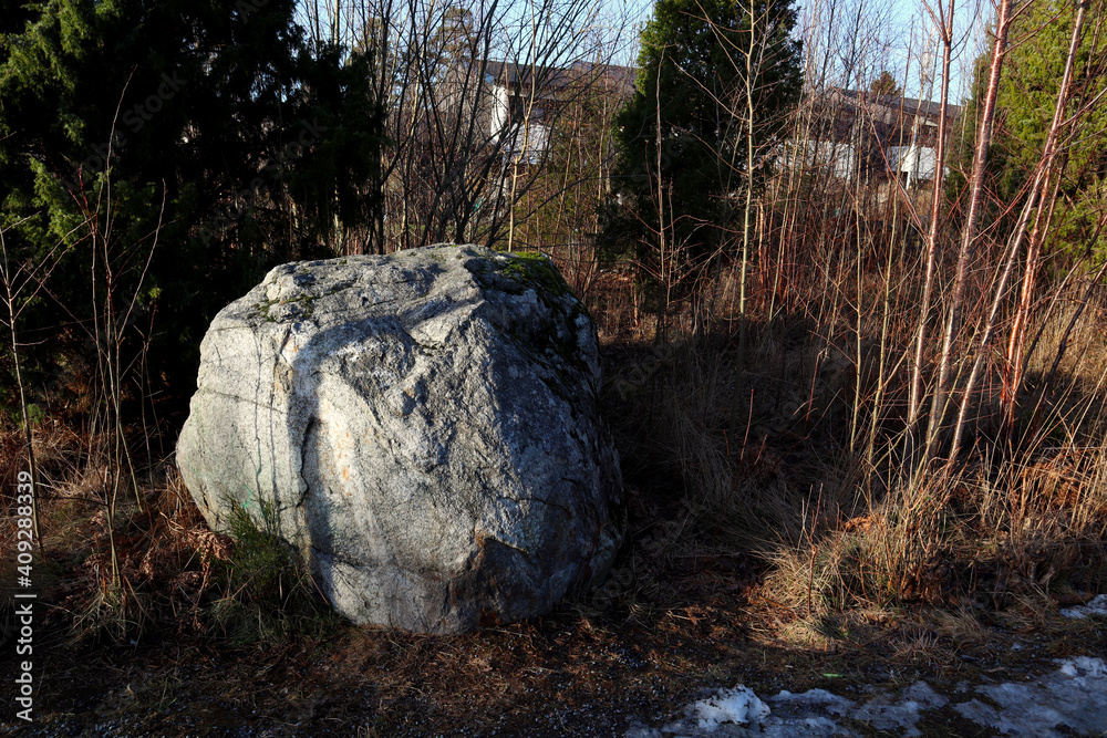 Obraz premium One big gray rock outside in nature. A sunny day. Plenty of trees and bushes. Swedish urban area. Houses in the background. Stockholm, Sweden.