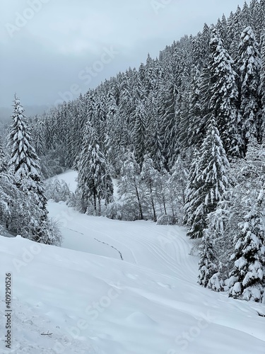 Das tief verschneite Sankenbachtal bei Baiersbronn im Schwarzwald ist ein idyllischer Ort für eine Winterwanderung.