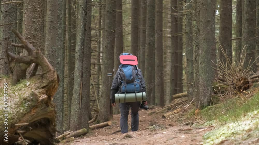 Hiker man with trekking backpack on his shoulders walking on trail in dark autumn woods. Hiker man with trekking backpack on his shoulders walking on trail in dark autumn woods.