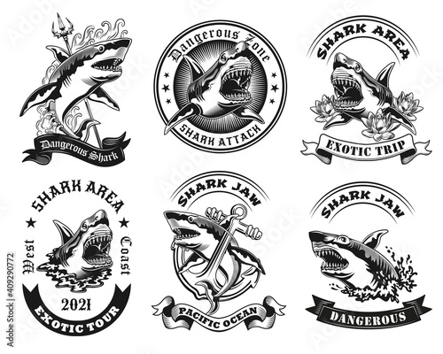 Vintage badges with shark zone alert vector illustration set. Monochrome labels with dangerous ocean predator. Wildlife and sea mammals concept can be used for retro template