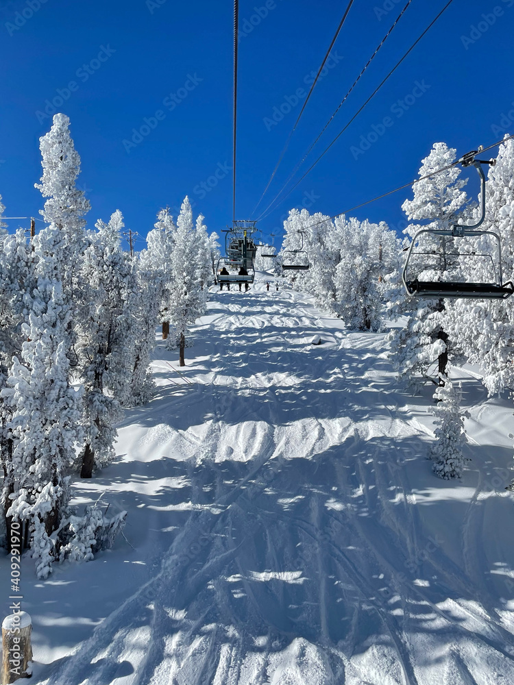 Scenic view of the snow covered trees and slopes at a ski resort on a bluebird day