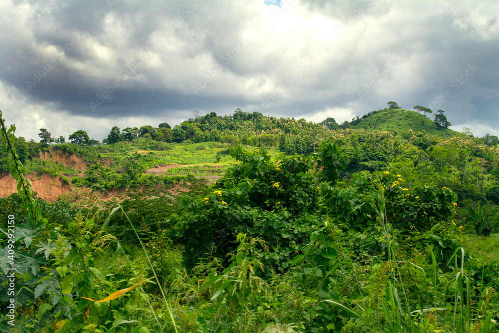 Landscape with vegetation and sky