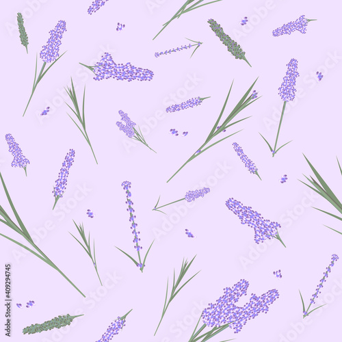 lavender seamless pattern, lila flowers leaves. vector herbal plant set