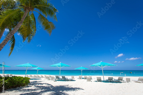 Grand Cayman Beach Deck Chairs Blue Umbrellas On Water's Edge.Caribbean, Grand Cayman, Seven Mile Beach, Cayman Islands, Palm Trees. Empty beach, No tourists