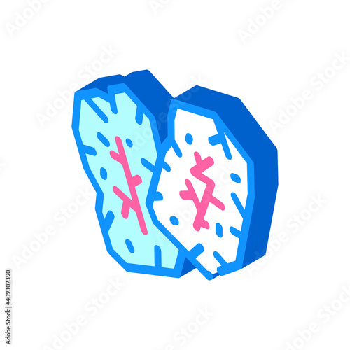 runes accessory isometric icon vector illustration color