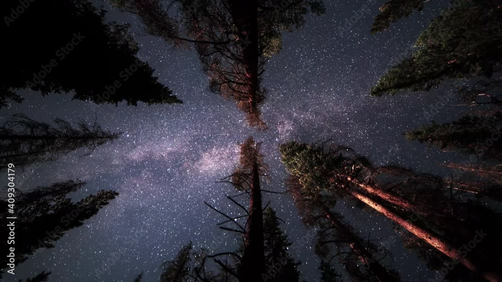 An overnight time lapse of a hammock view looking up as the milky way and stars pass across the trees in the night sky.  