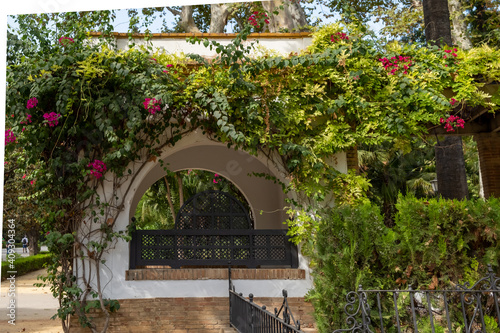 Jardín Sevillano