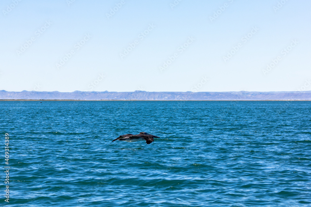 Obraz premium Desert Roadtrip