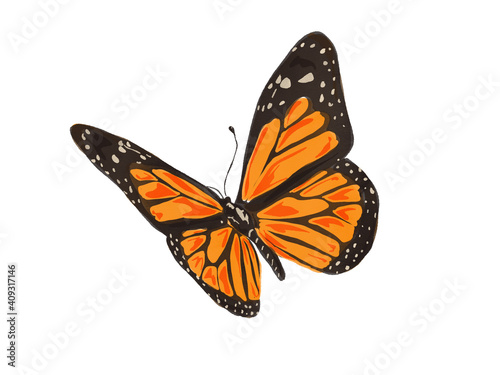 Orange Monarch butterfly Illustration, Butterfly drawing Watercolor JPEG isolated on white Background © Hadassah
