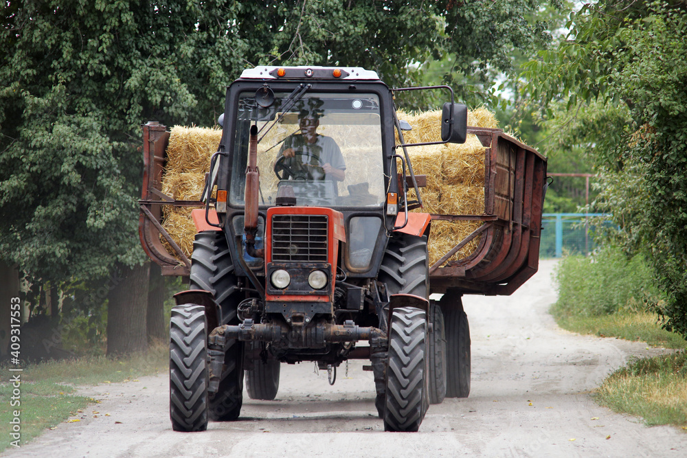 Fototapeta premium tractor with trailer transporting straw