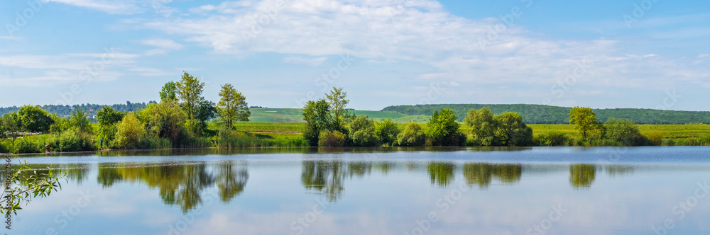 Summer landscape with trees reflected in the river. Panorama with river and trees