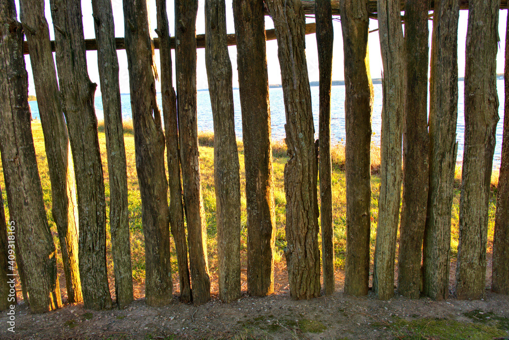 Peaking thru a stockade fence in the background-is the sea Peaking thru a stockade fence in the background-is the sea