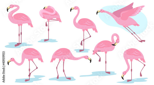 Pink flamingo bird in different poses flat set for web design. Cartoon flamingo standing  flying and resting isolated vector illustration collection. Vacation  wildlife and animals concept