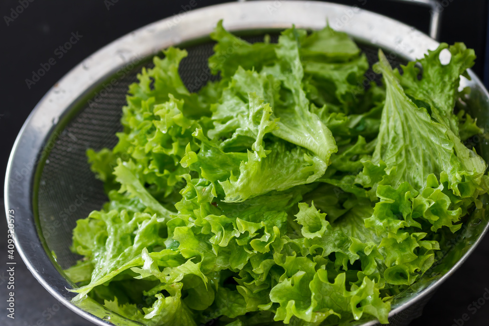 grüne Salatblätter gekräuselt frisch Essen Gesundheit Sieb Edelstahl grüne Salatblätter gekräuselt frisch Essen Gesundheit Sieb Edelstahl