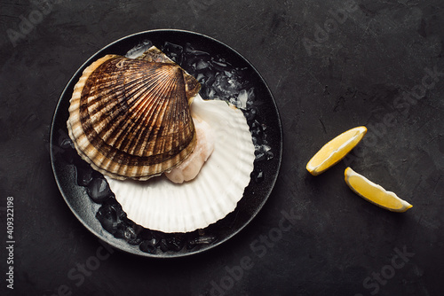 A big scallop and a lemon on the black plate. Black background. Top view. Left side. Close up. photo