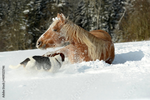 Goldenes Pferd im Schnee