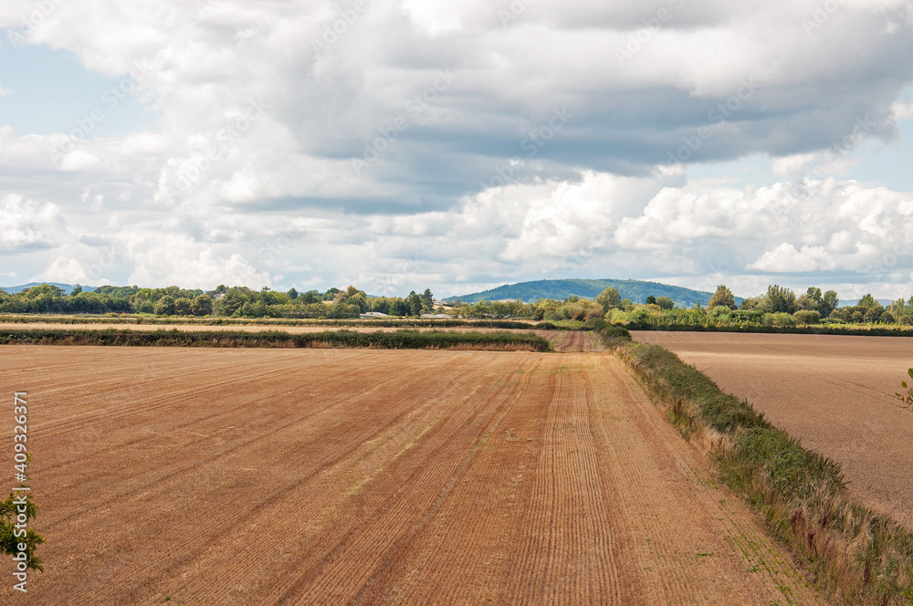 Summertime agricultural landscape in the UK