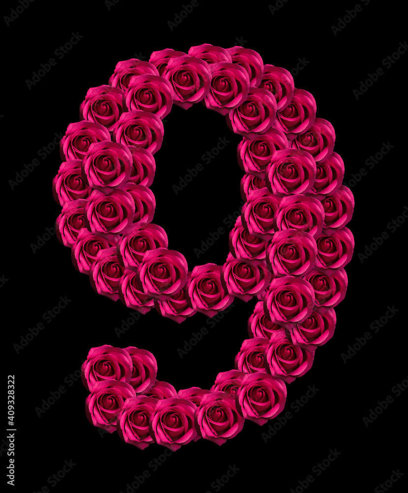 love concept image of number 9 made of pink roses isolated on black background. Design element for love themes love concept image of number 9 made of pink roses isolated on black background. Design element for love themes
