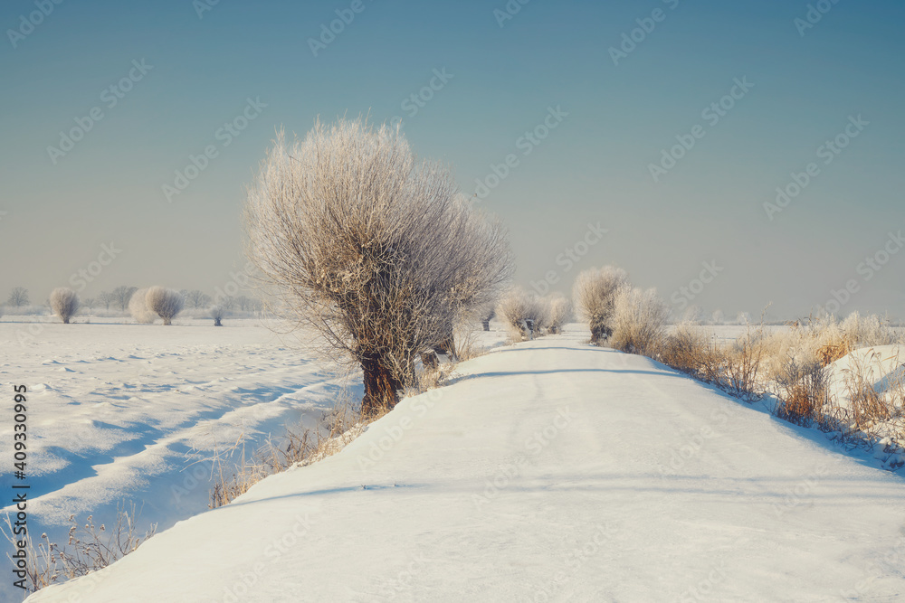 Winter rural landscape, Poland around Malbork Winter rural landscape, Poland around Malbork
