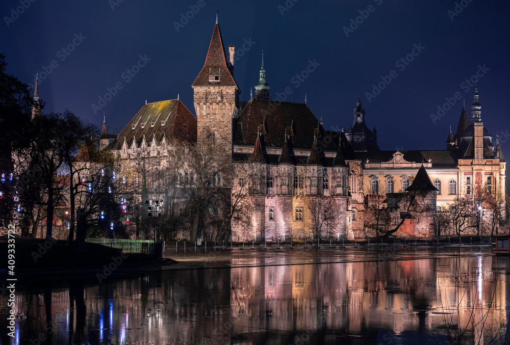 Fototapeta premium Night view of Vajdahunyad castle in Budapest (Hungary)