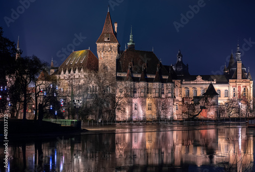 Night view of Vajdahunyad castle in Budapest (Hungary)