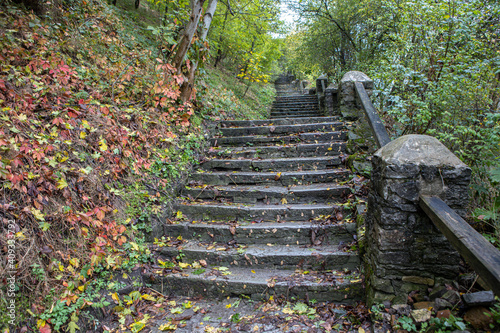 Old ancient stone staircase with yellow fallen leaves