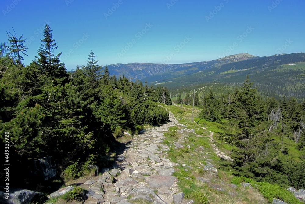 Mountain trail in the Karkonosze Mountains in spring. A rocky path among the trees Mountain trail in the Karkonosze Mountains in spring. A rocky path among the trees