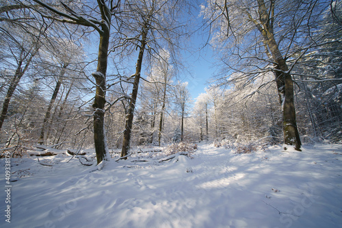 Winter in Deutschland © Joachim Berninger