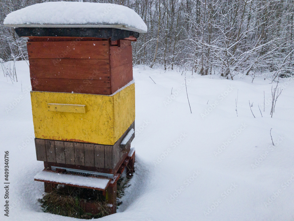 Naklejka premium wooden beehive box with snow. Off season. Brake