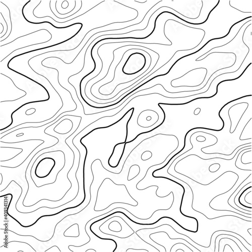  Abstract vector illustration. Topographic map background. Grid map. Contour map vector. 