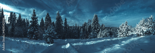 Snowy road at  winter Stone Hill park in frosty night. Winter country road with fir forest in the rays of cold winter Moon.