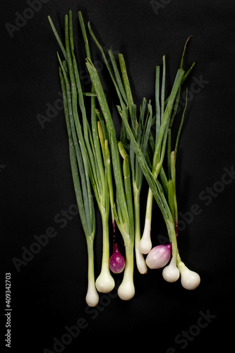 Spring Green Onions on Black Background