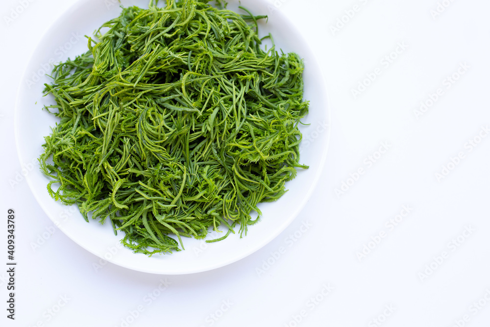Climbing Wattle or Acacia leaves on white background. Climbing Wattle or Acacia leaves on white background.