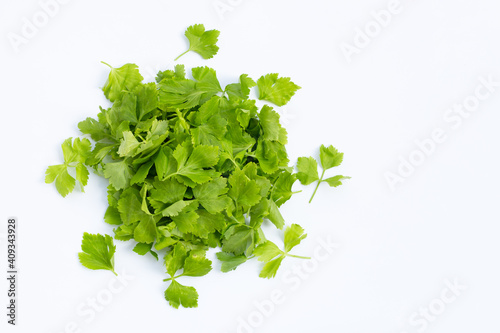 Chinese celery leaves on white