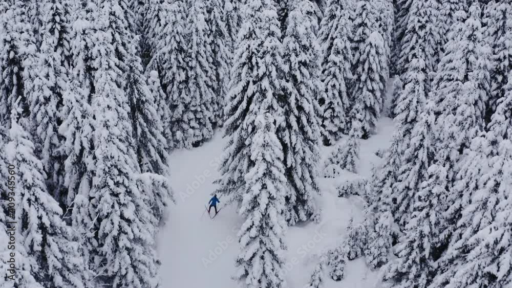 Aerial shot of Professional athlethe cross country skier running on skis trough the frozen forest covered in snow