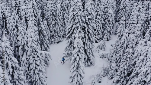Aerial shot of Professional athlethe cross country skier running on skis trough the frozen forest covered in snow