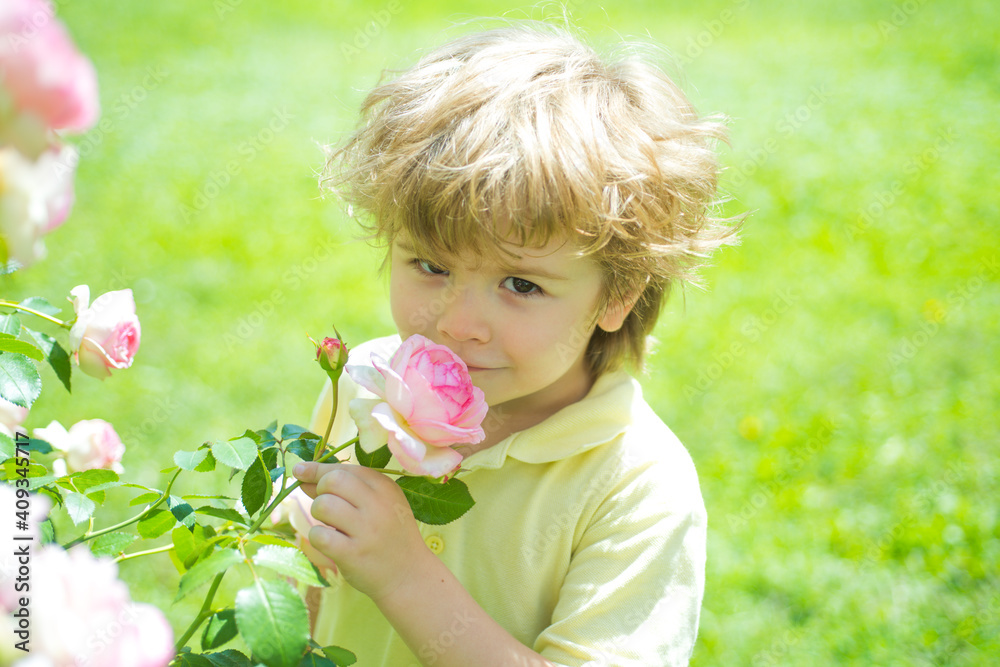 Kid and rose. Children with nature concept. Kid and rose. Children with nature concept.