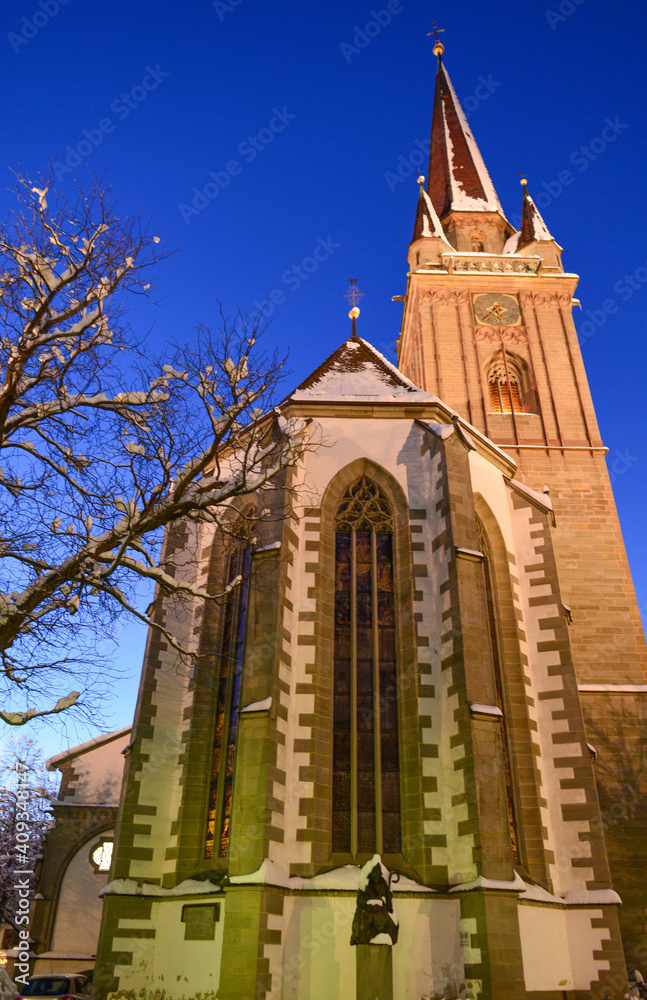 Obraz premium Radolfzeller Münster