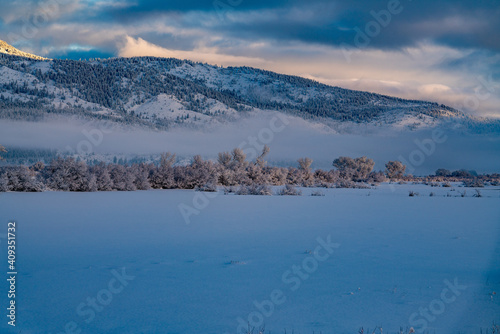 Image of a snowy sagebrush, desert and cloudy landscape.