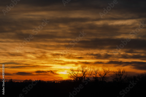 sunset over the field