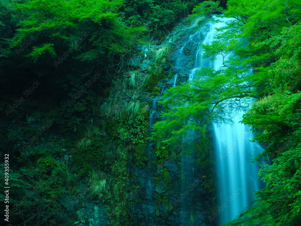 Obraz premium 【大阪】初夏に訪れる箕面の滝