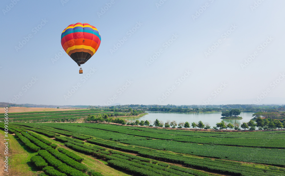 Naklejka premium hot air balloon in flight