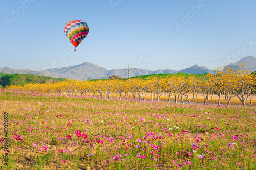 hot air balloon in the field  over the cosmos flowers  nature background 