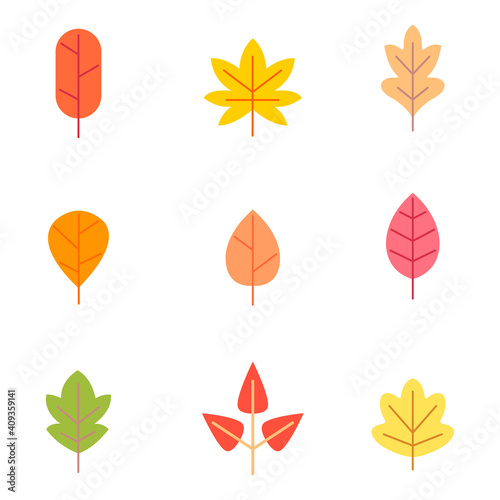 Set of colorful autumn leaves.