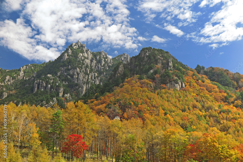 山梨県の百名山　瑞牆山　晴れた空いっぱいのもとで黄葉に彩る