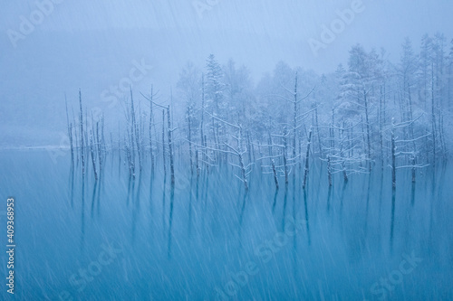 美瑛町 青い池の冬の朝の風景