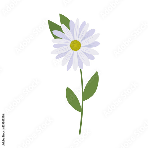 flower with a white color and leaves